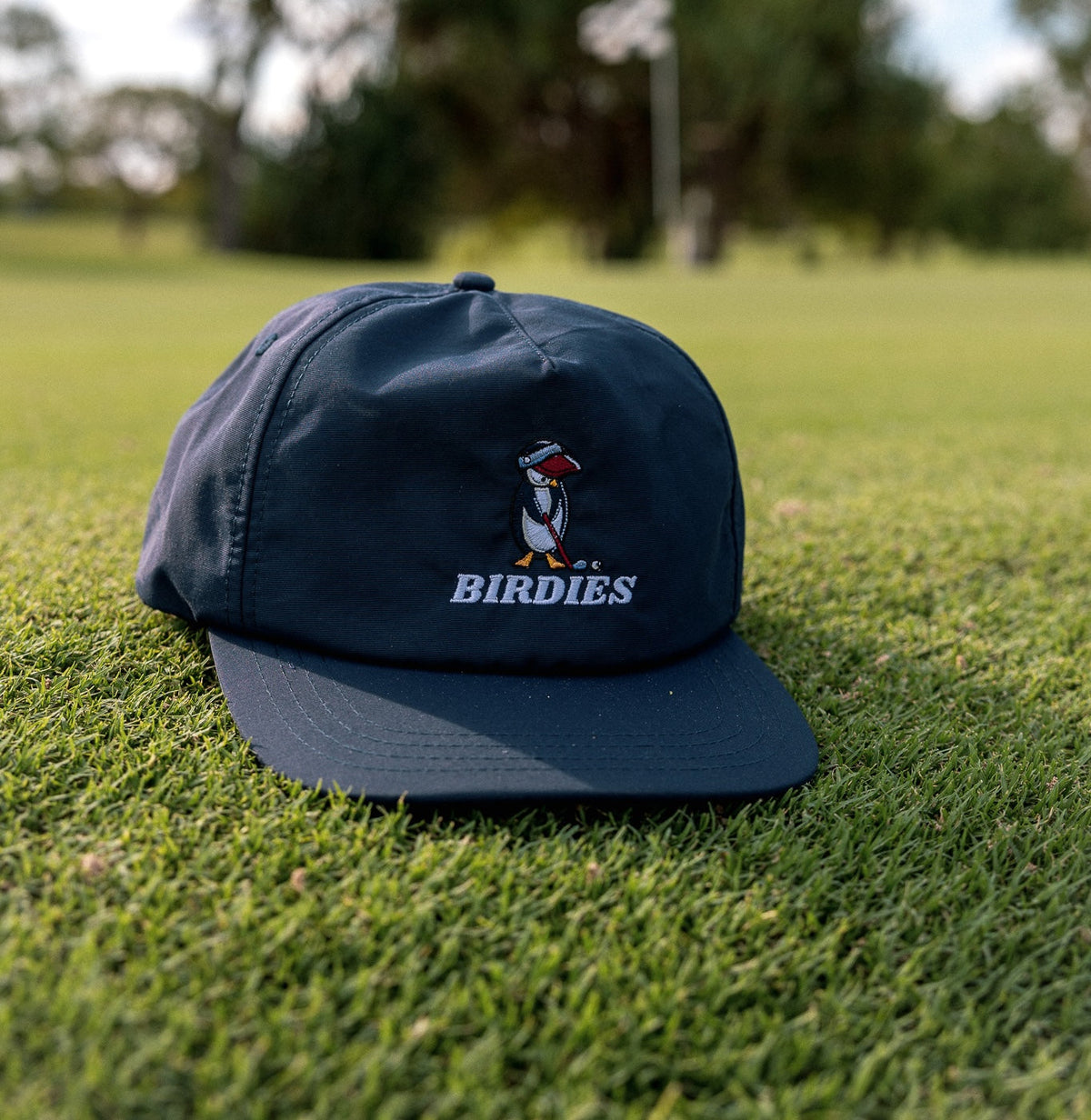 Birdies Cap